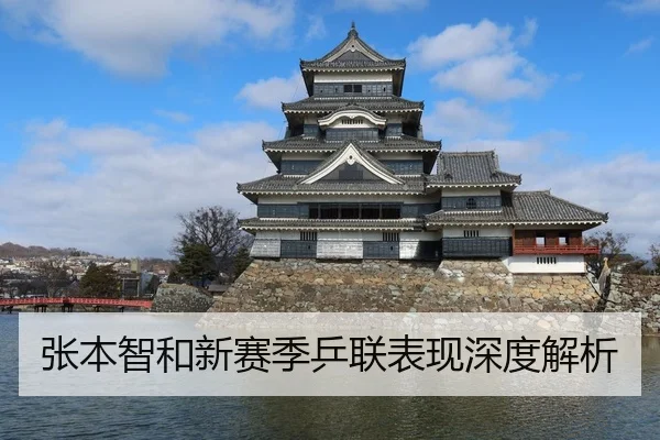 张本智和新赛季乒联表现深度解析